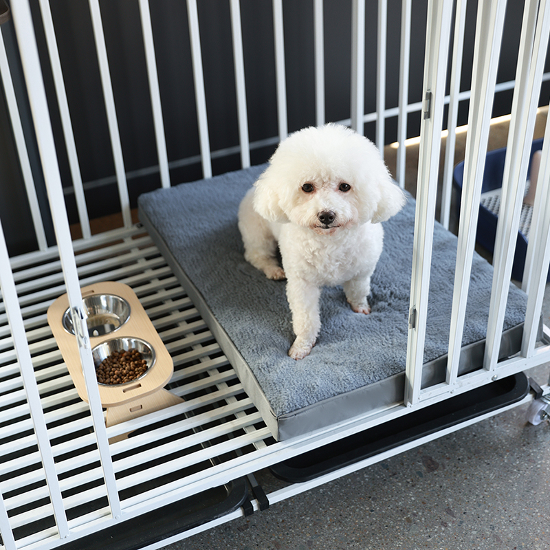 Dog Bed Mat with Zipper Remolv - Calming Dog Bed のレビューと価格