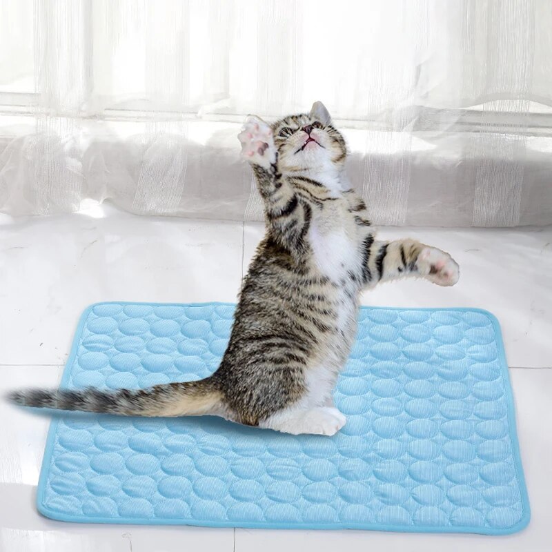 Pet Ice Mats Summer Cat Dog So - Calming Dog Bed のレビューと価格