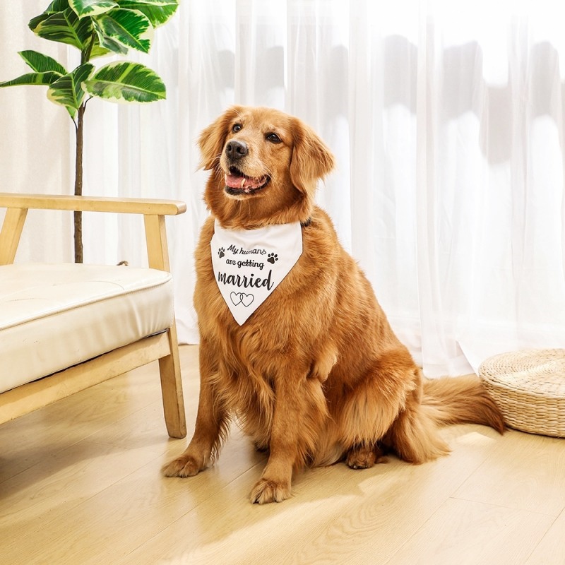 Fashion Dog Bandanas Dog Saliv - Dog Bandana Scarf のレビューと価格