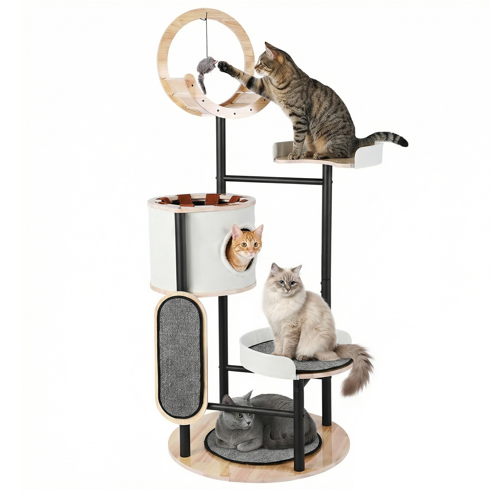 66-Inch Cat Tree with Scratchi - Pet X Supplies & Tack Howell Photos のレビューと価格