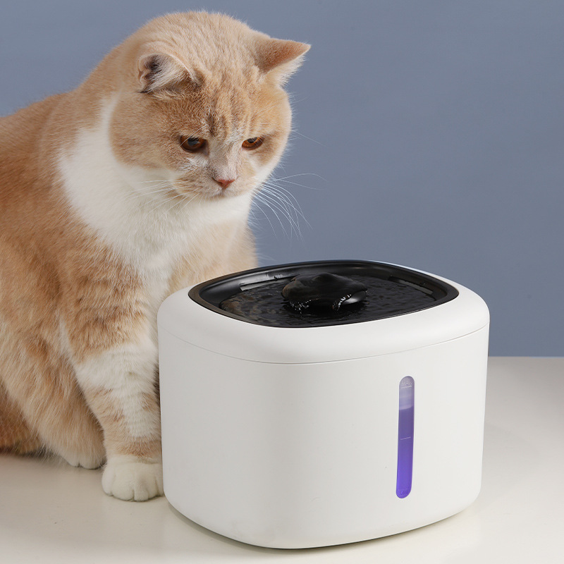 10 PCS Cat Water Fountain Acce - Cat Water Fountain Filter のレビューと価格