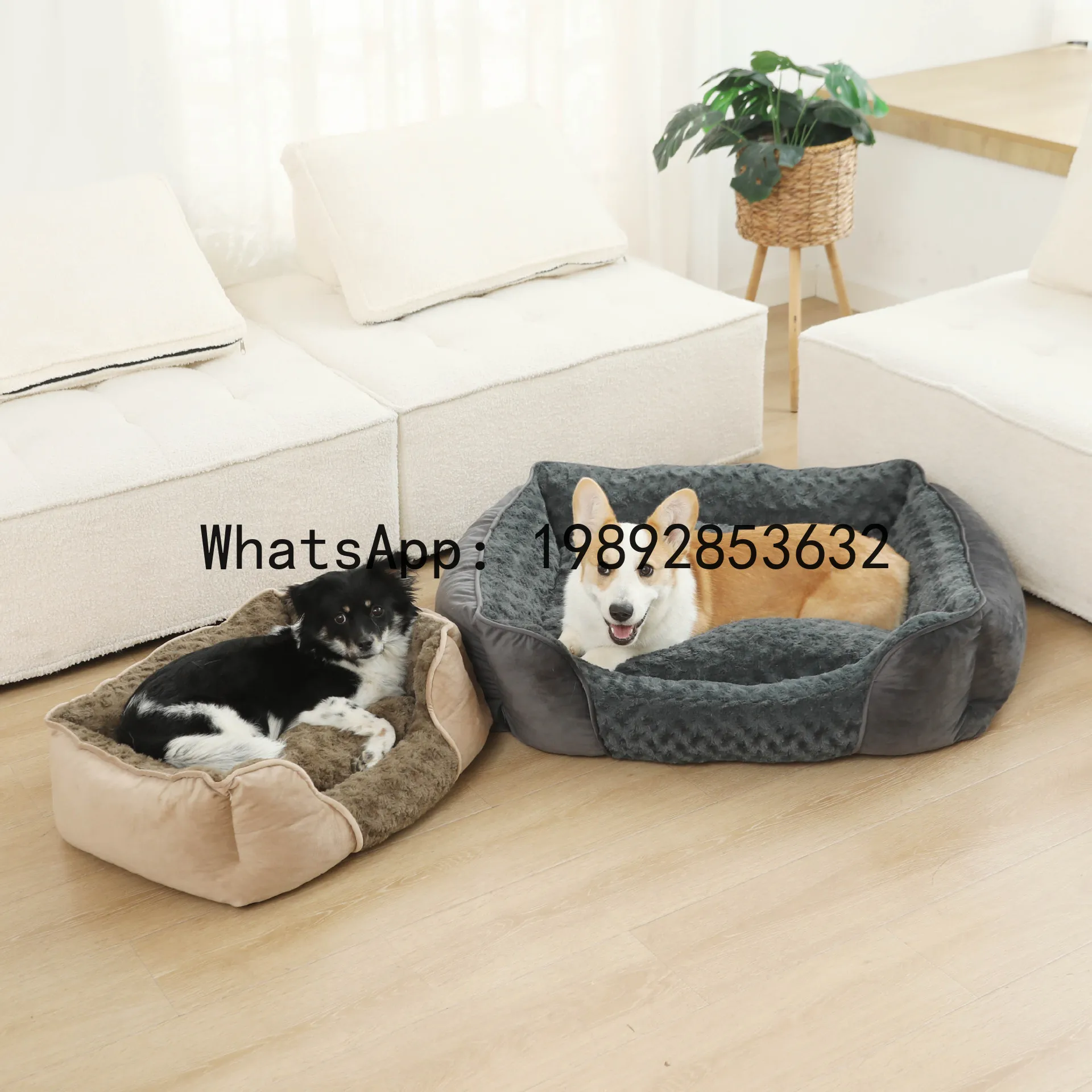 X cat house semi-enclosed dog  - Pet X Supplies & Tack Howell Photos のレビューと価格