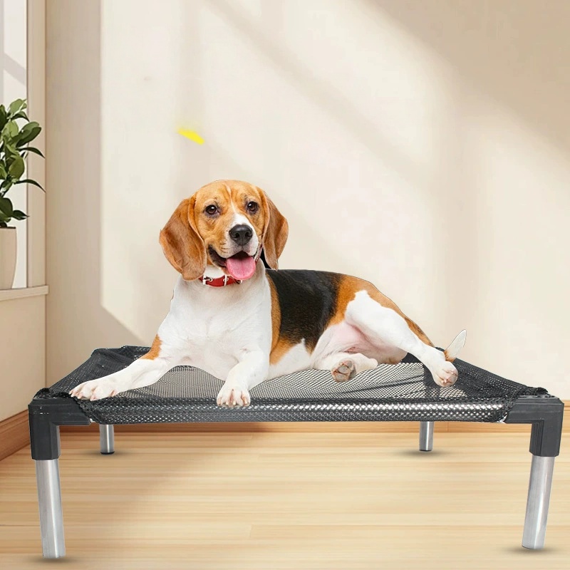 Cooling Elevated Dog Bed - Rai - Calming Dog Bed のレビューと価格