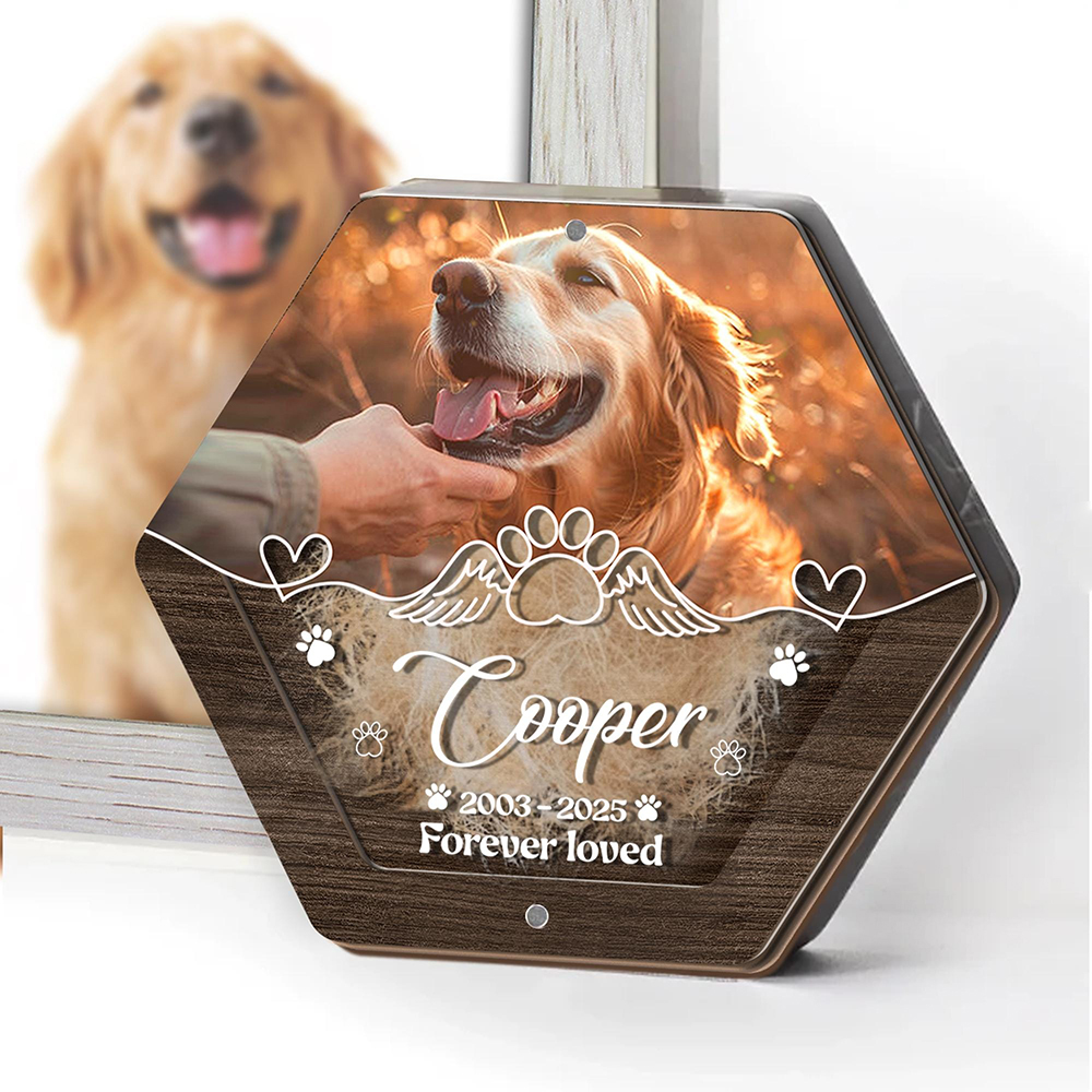 Personalized Name Wooden Carvi - Pet Supplies Store のレビューと価格