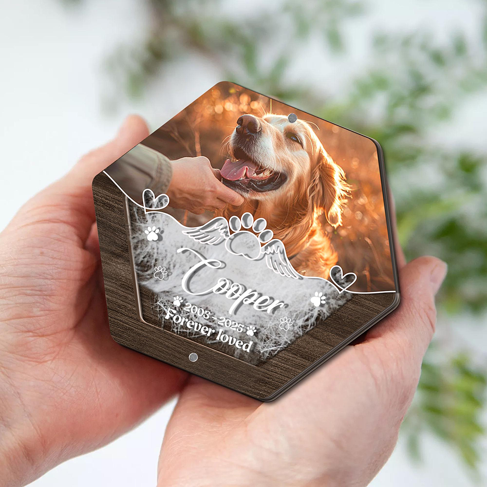 Personalized Name Wooden Carvi - Pet Supplies Store のレビューと価格