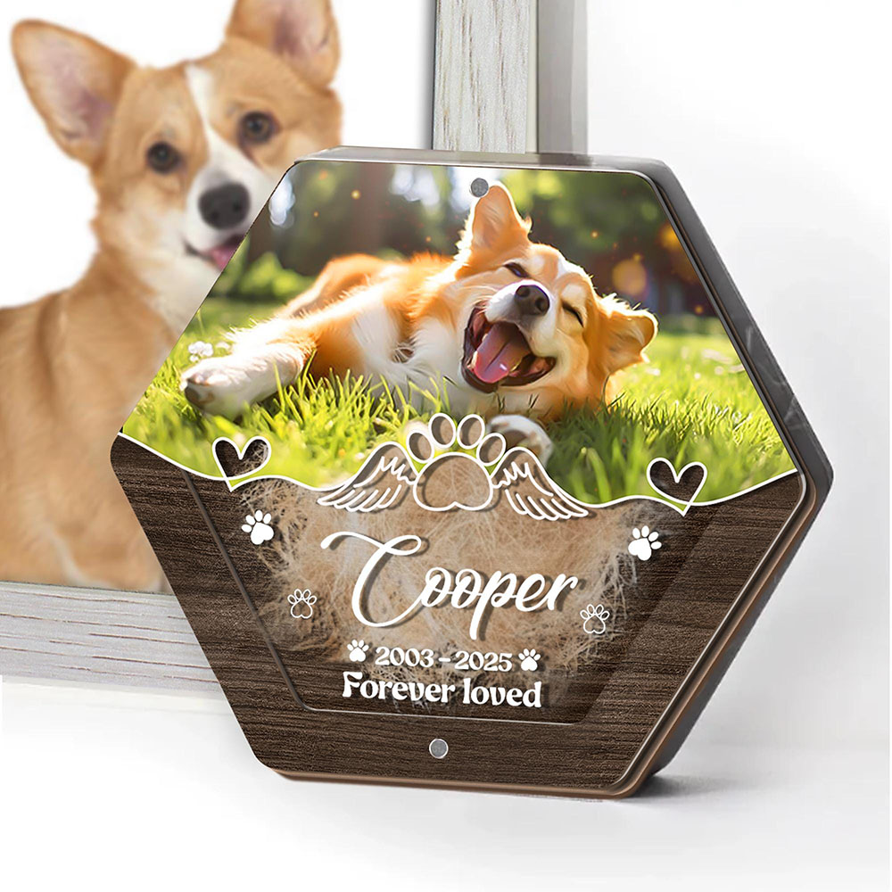 Personalized Name Wooden Carvi - Pet Supplies Store のレビューと価格