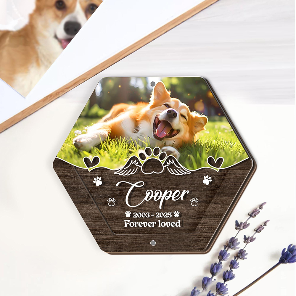 Personalized Name Wooden Carvi - Pet Supplies Store のレビューと価格