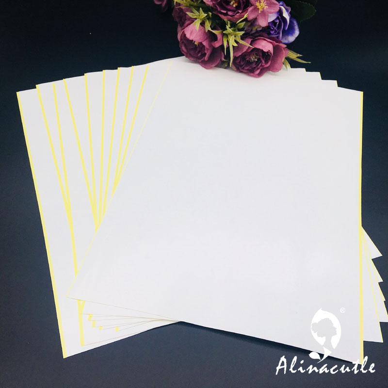 10PC X A4 Double Sided Tape St - Pet X Supplies & Tack Howell Photos のレビューと価格