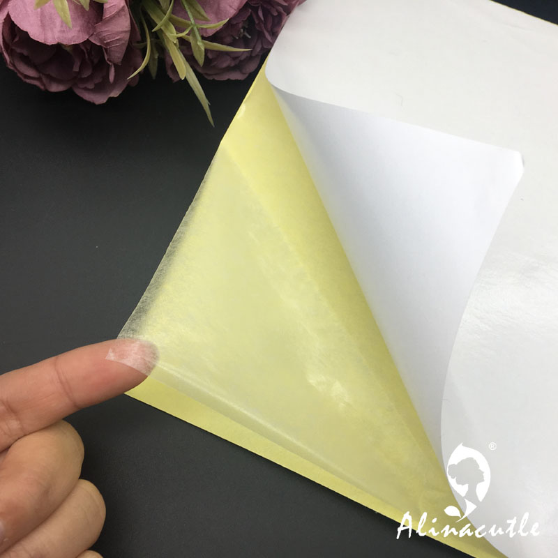 10PC X A4 Double Sided Tape St - Pet X Supplies & Tack Howell Photos のレビューと価格