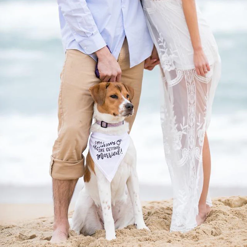 My Humans are Getting Married  - Dog Bandana Scarf のレビューと価格