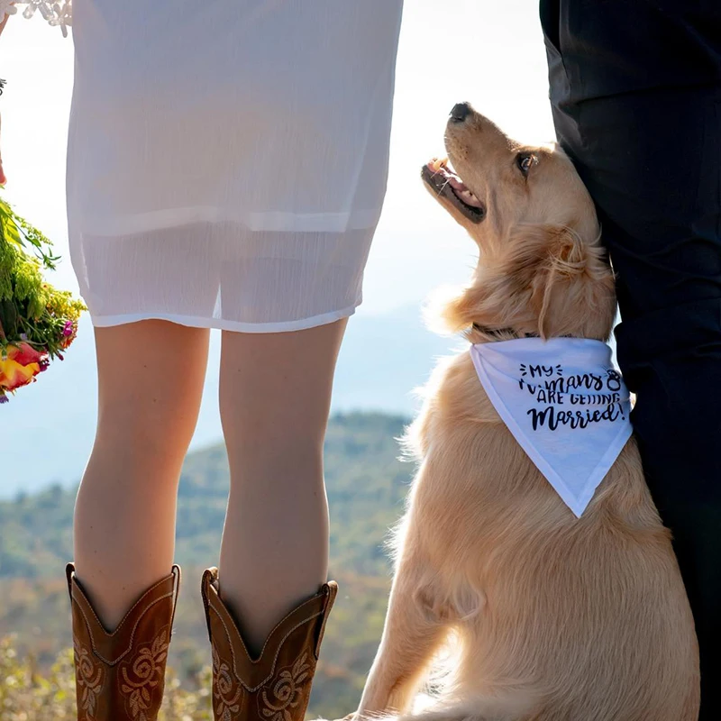 My Humans are Getting Married  - Dog Bandana Scarf のレビューと価格