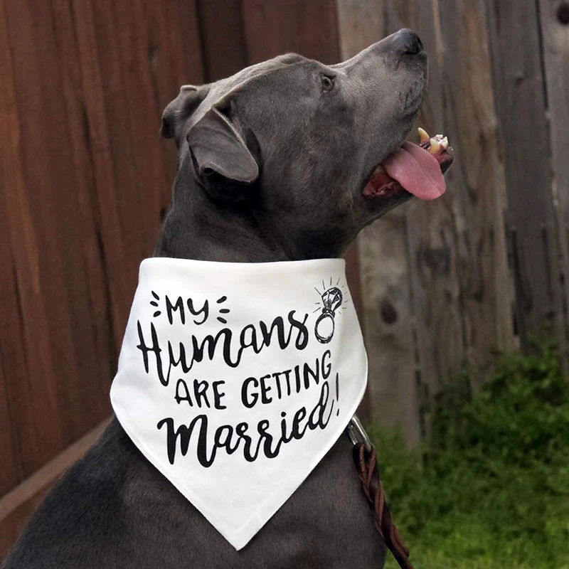 My Humans are Getting Married  - Dog Bandana Scarf のレビューと価格