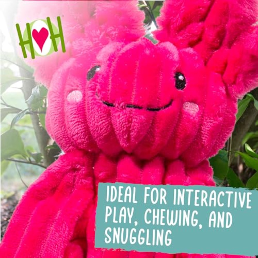 X-Brace Squeaky Dog Toy - Inte - Pet X Supplies & Tack Howell Photos のレビューと価格
