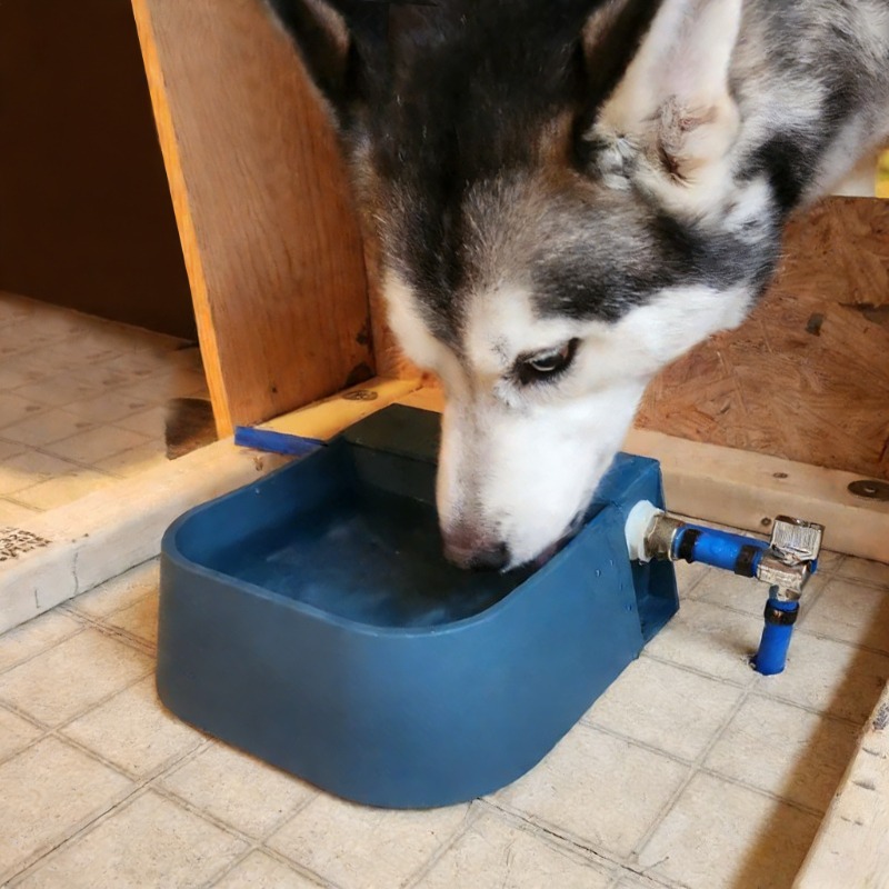 Pet Automatic Water Dispenser  - Pet Supplies Unlimited のレビューと価格