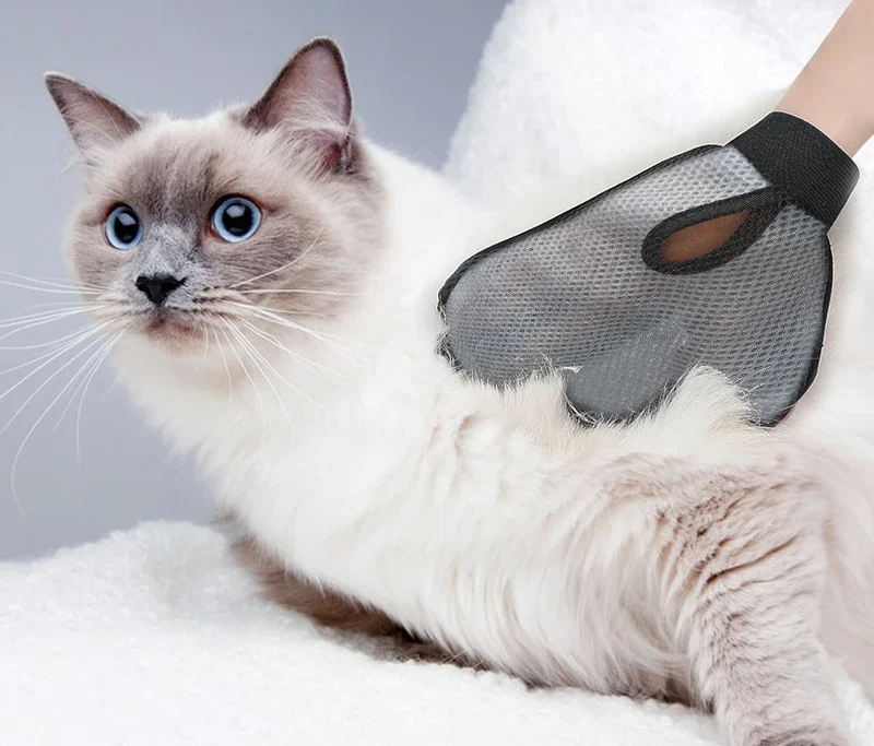 Cat Hair Glove Pet Grooming Gl - Pet Supplies Grooming のレビューと価格